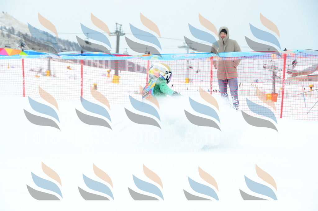 DSC_1291 | holidayphoto