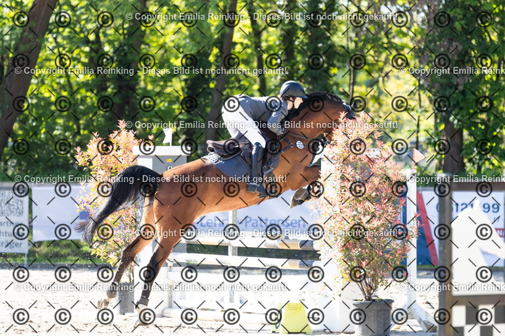 CL5A1663 | Emilia Reinking Fotografie - Realisiert mit Pictrs.com