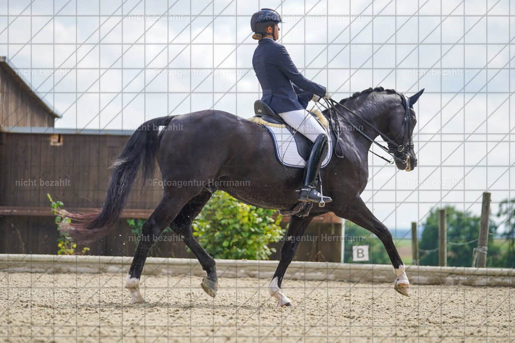 20230826-FAH05819 | Forstinning, 2023, Dressurturnier, Turniersportbilder, Turnierfotografen Bayern, Fotoagentur Herrmann, Reitsportfotografie, Turnierbilder