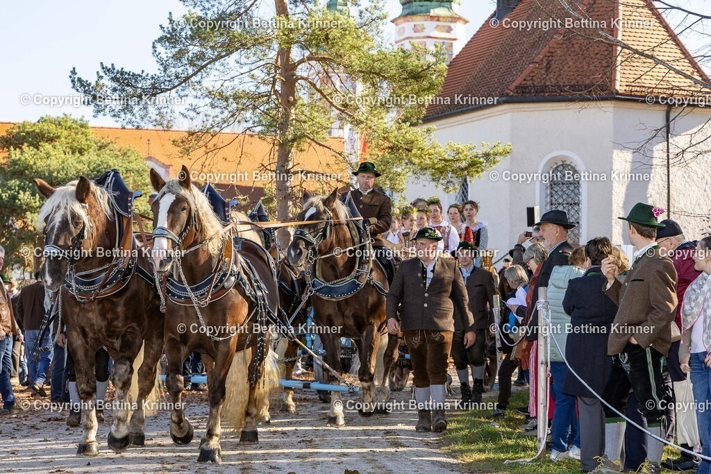 LBT25-1121 | foto-bettina-krinner - Realisiert mit Pictrs.com