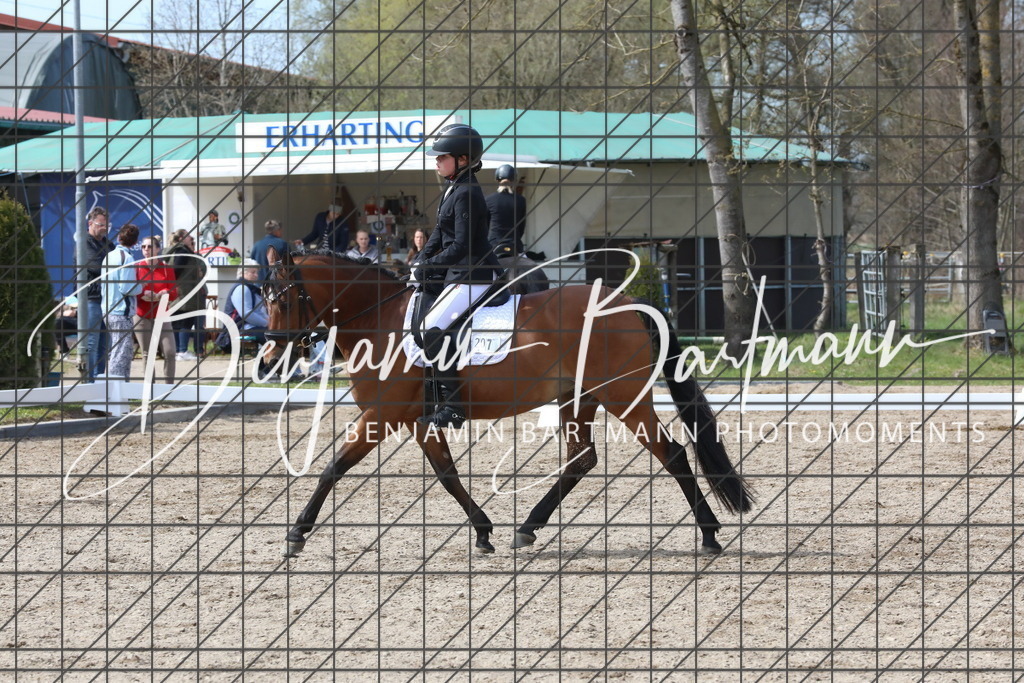 AZ2A3835 | Benjamin Bartmann Photomoments