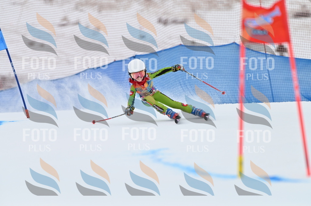 BGV_9344 | holidayphoto