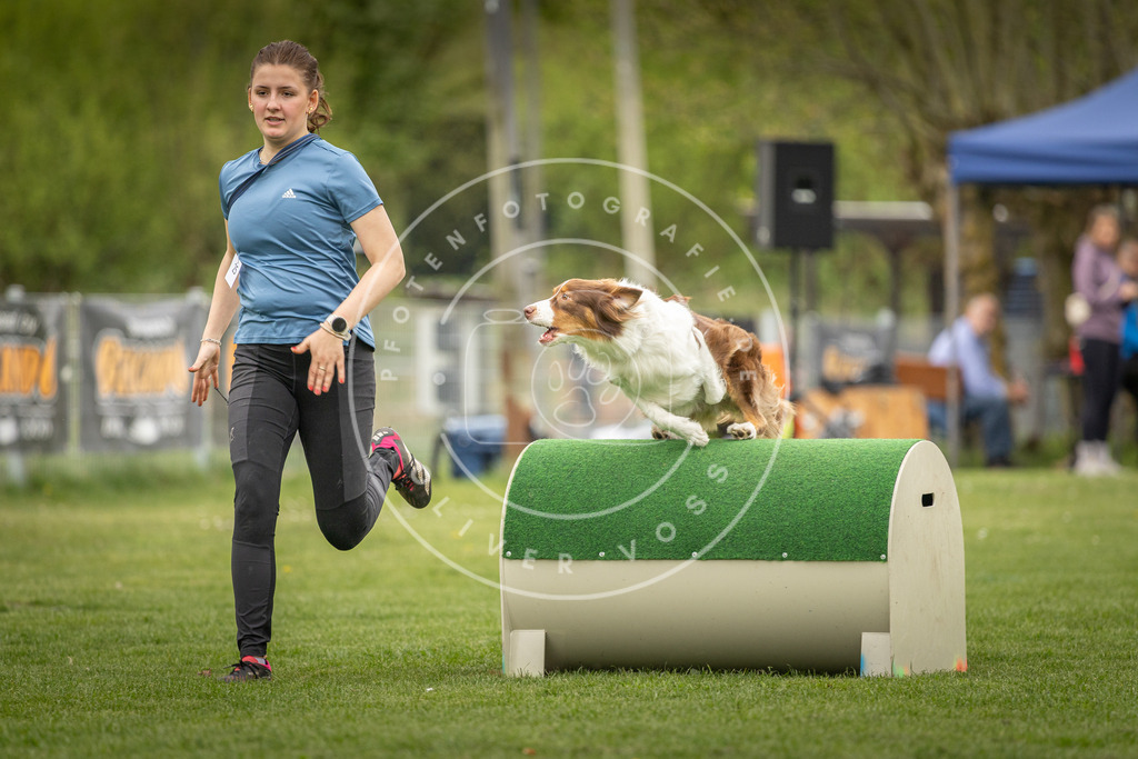 Pfotenfotografie_DV3A1536 | Hundefotografie, Tierfotograf, Pfotenfotografie, Fotoshooting Hund, Hunde Portrait, Hundesport, Hundeportraits, Heideshooting, Hunde, Sportfotograf, Hundefotograf, Turnierhundsport, THS,  - Realisiert mit Pictrs.com