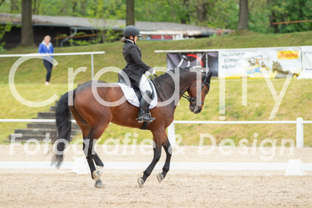 IMG_9833 | Creatify Fotografie