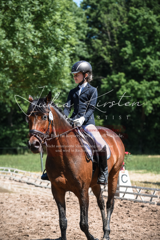 DSC_2855 | Pferde- und Turnierfotografie in Westsachsen. Pferdeportraits, Auftragszeichnungen und intuitive Kunst.