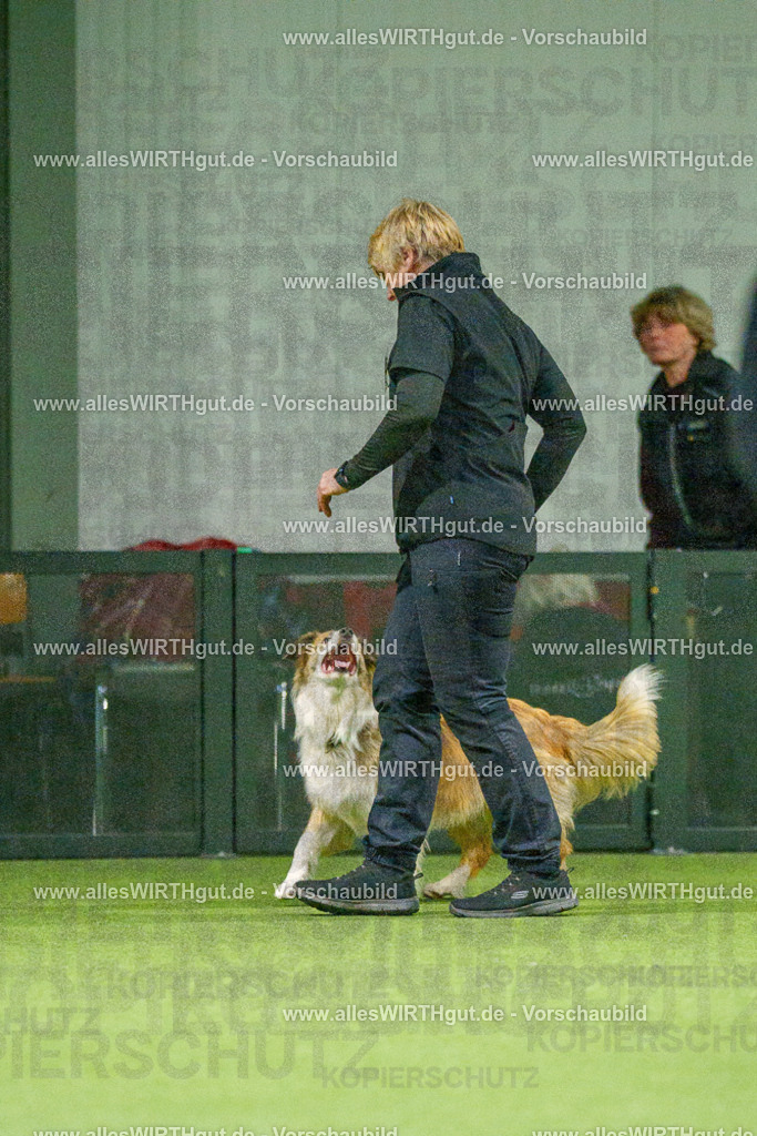 7R504358 | Professionelle Tierfotografie in Mönchengladbach von Daniel Wirth (allesWIRTHgut). Liebevolle & natürliche Bilder von Hunden & Katzen für unvergessliche Erinnerungen.