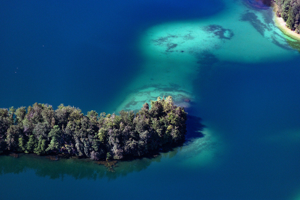 dr__0092776.jpg | STOCK 14.06.2022 Uferbereiche am Seegebiet des " Langenbürgner See " in Stock im Bundesland Bayern, Deutschland. 