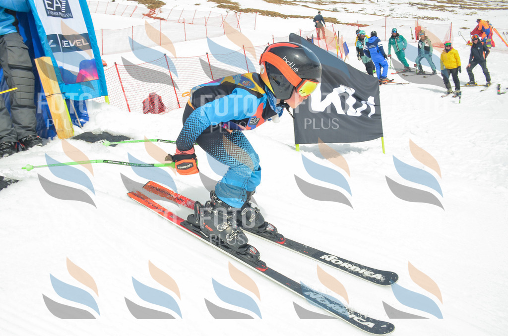 _ELE8389 | holidayphoto