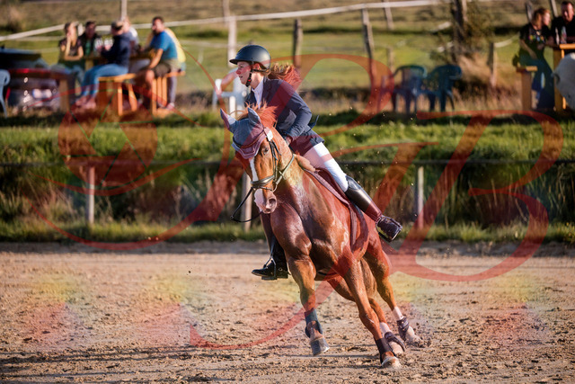 2026_10_03_Siefer-Hof_171212_Z81_09228061 | Professionelle Reitsport-, Turnier- und Eventfotografie von Robert Broda. Galerien mit ausgewählten und bearbeiteten Bildern direkt online ansehen und bestellen.