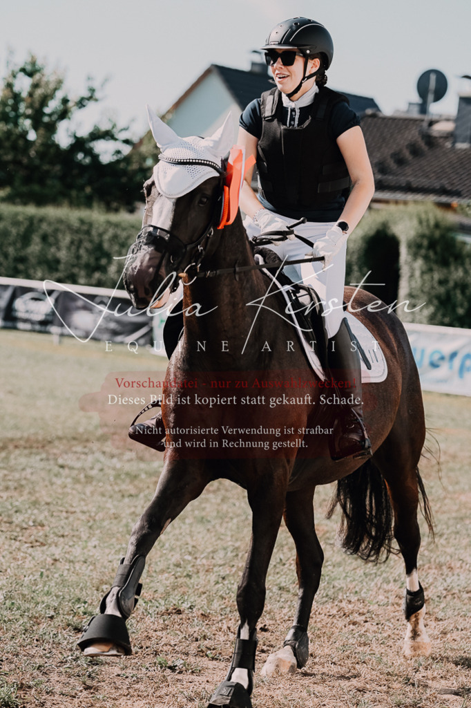 DSC_4950 | Pferde- und Turnierfotografie in Westsachsen. Pferdeportraits, Auftragszeichnungen und intuitive Kunst.