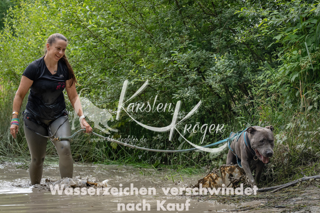 1450_ZZ93992 | kk-dogfotos
