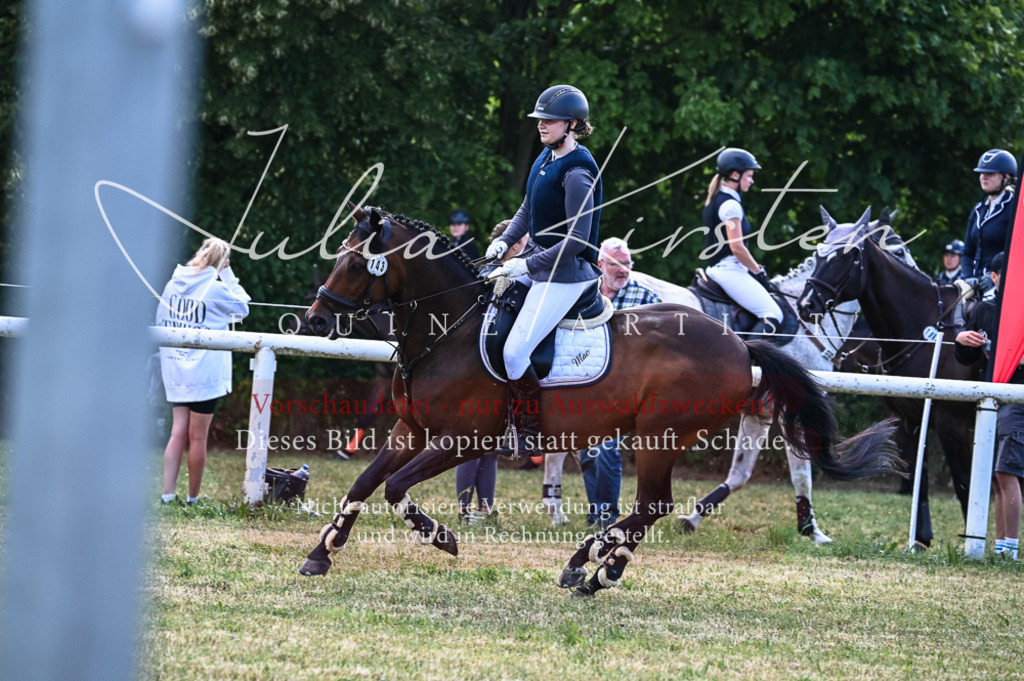 DSC_8012 | Pferde- und Turnierfotografie in Westsachsen. Pferdeportraits, Auftragszeichnungen und intuitive Kunst.