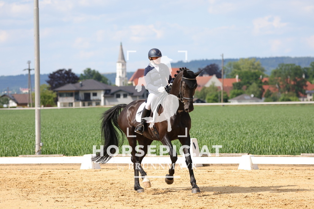 0P6A9107 | Willkommen bei Brunnmayr - Design & Fotografie – Ihrem Spezialisten für Reitturniere und Pferdeveranstaltungen in Oberösterreich, Salzburg und Bayern! Seit über 17 Jahren sind wir leidenschaftlich dabei.