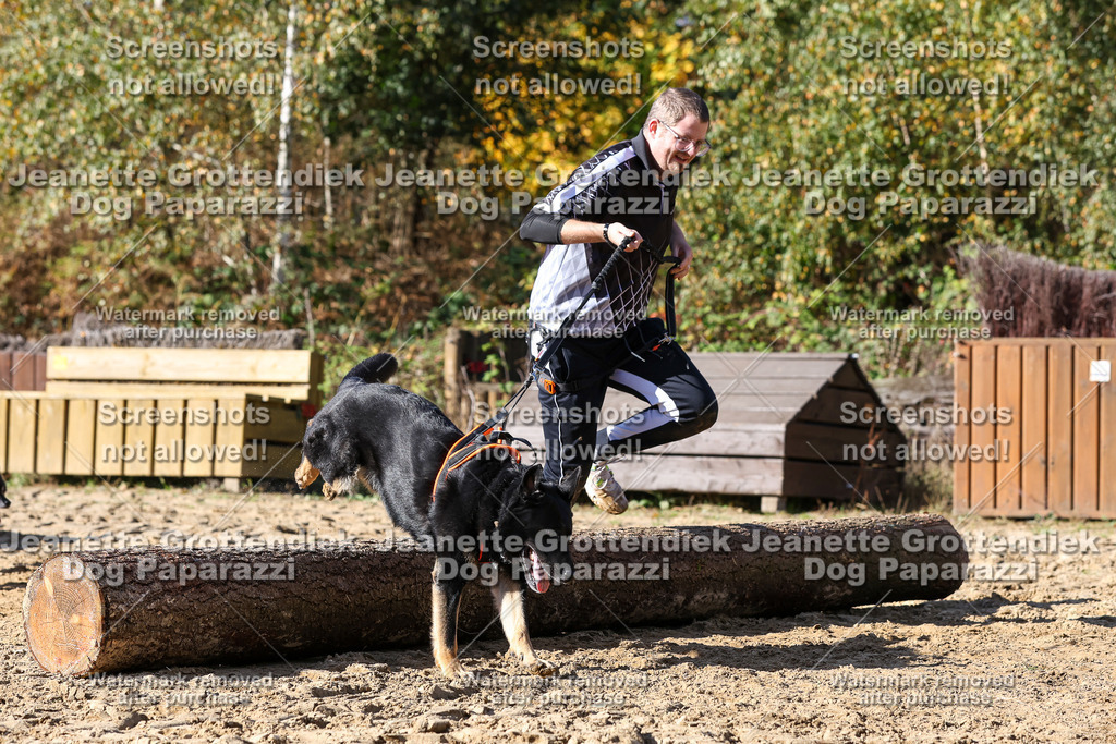 Dog Paparazzi - Strongdog 10-25-4810 | Dog Paparazzi Jeanette Grottendiek Fotografie & Videografie - Realisiert mit Pictrs.com