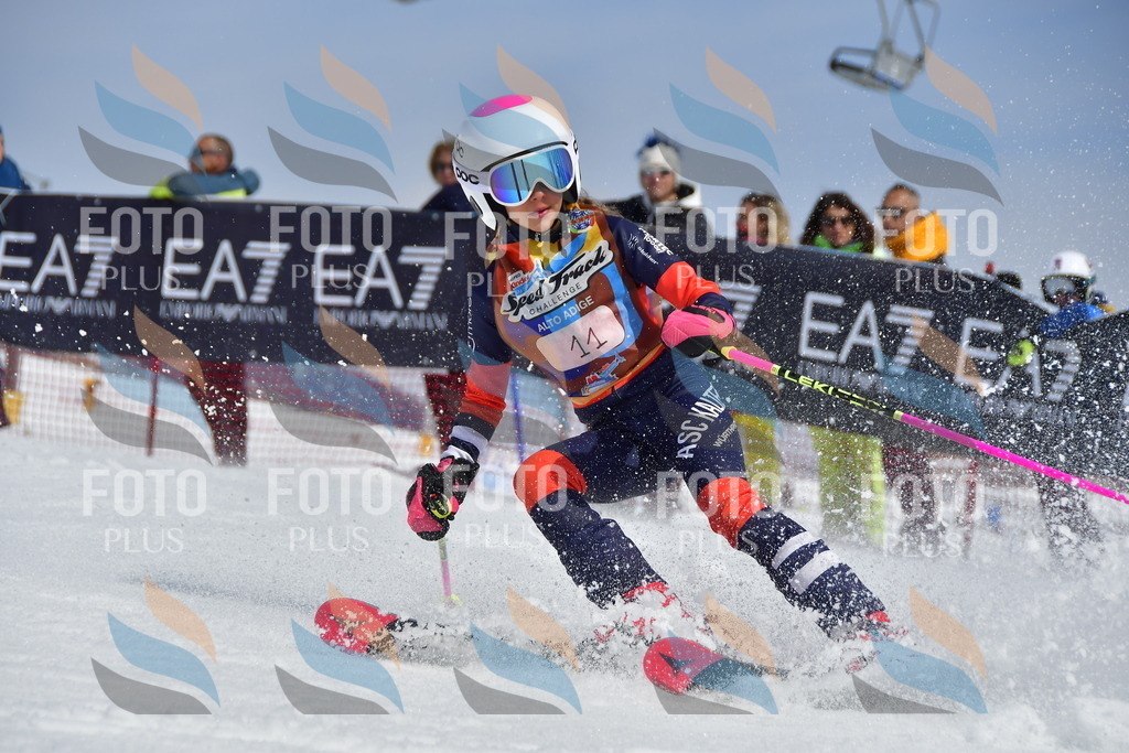 _DSC6764 | holidayphoto