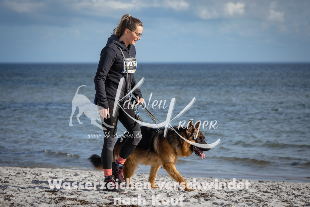 1353_ZZ94306 | kk-dogfotos