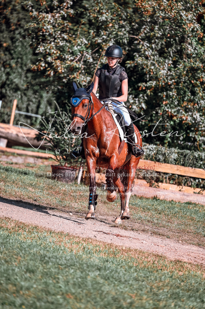 DSC_0948 | Pferde- und Turnierfotografie in Westsachsen. Pferdeportraits, Auftragszeichnungen und intuitive Kunst.