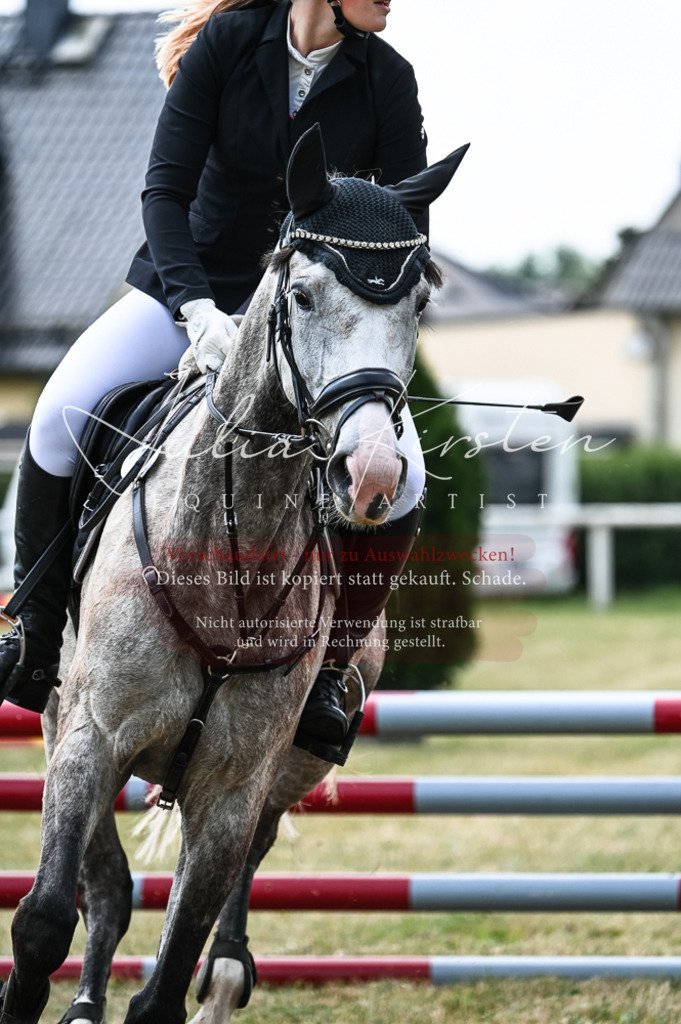 DSC_8929 | Pferde- und Turnierfotografie in Westsachsen. Pferdeportraits, Auftragszeichnungen und intuitive Kunst.