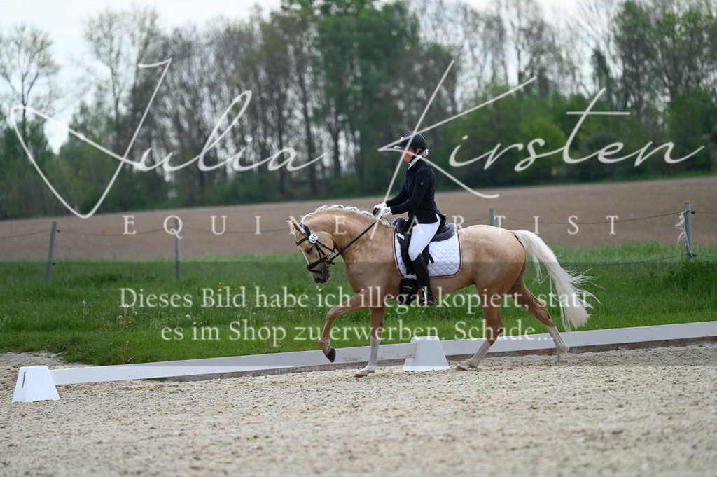 20230512_JK-Röhrsdorf-02-115 | Pferde- und Turnierfotografie in Westsachsen. Pferdeportraits, Auftragszeichnungen und intuitive Kunst.