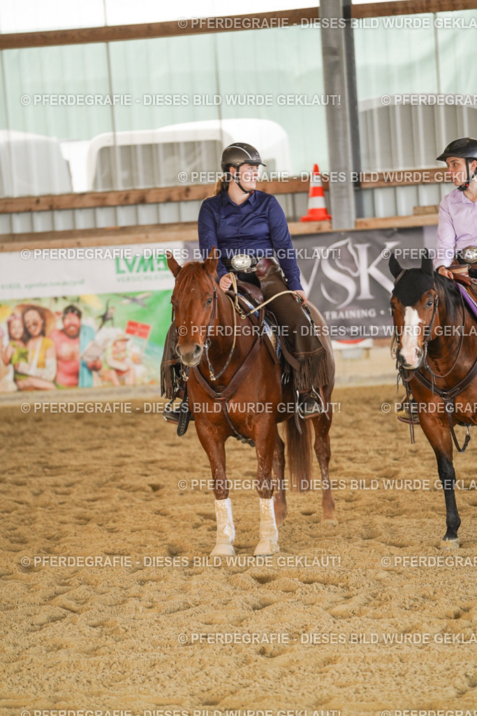 DSC08983 | Pferdegrafie