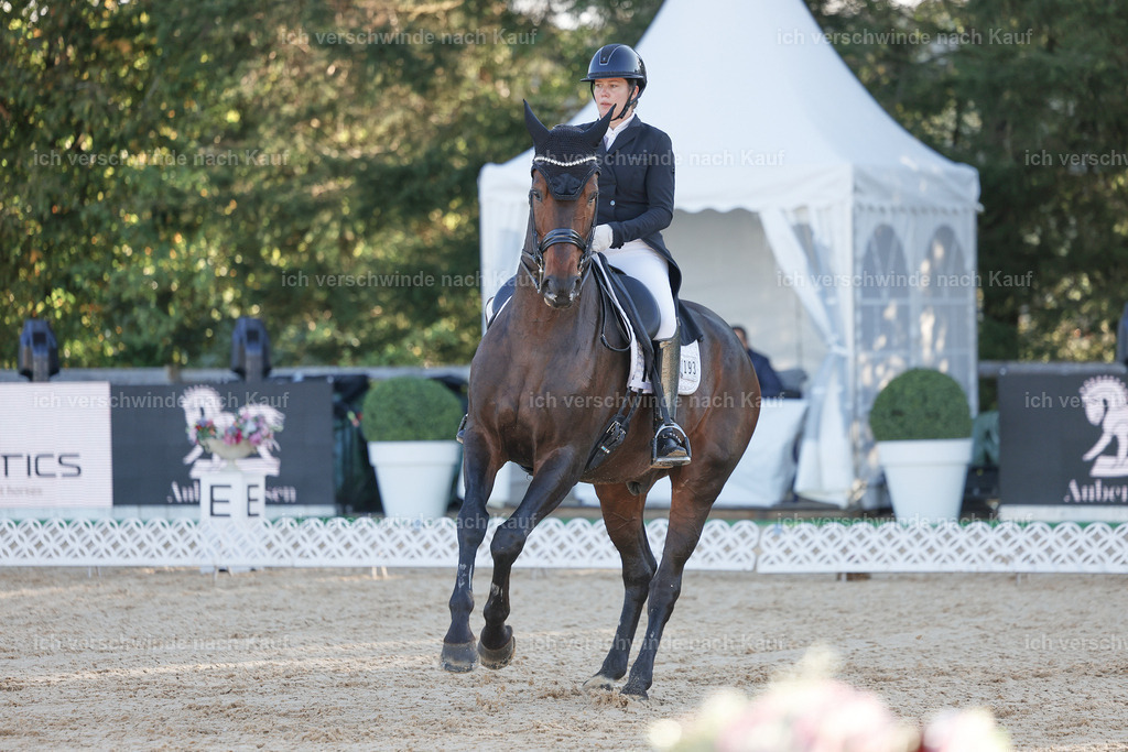 09_1-193-DRESSUR  S_  -StoibPH-5485 | working equitationturnier fotograf videograf stoibphotography marixx film working equitation deutschland reitsport turnierfotografie eventfotografie equestrian events