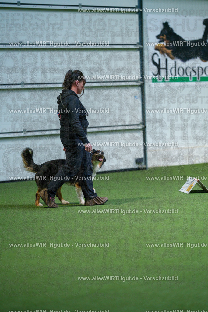 7R502031 | Professionelle Tierfotografie in Mönchengladbach von Daniel Wirth (allesWIRTHgut). Liebevolle & natürliche Bilder von Hunden & Katzen für unvergessliche Erinnerungen.