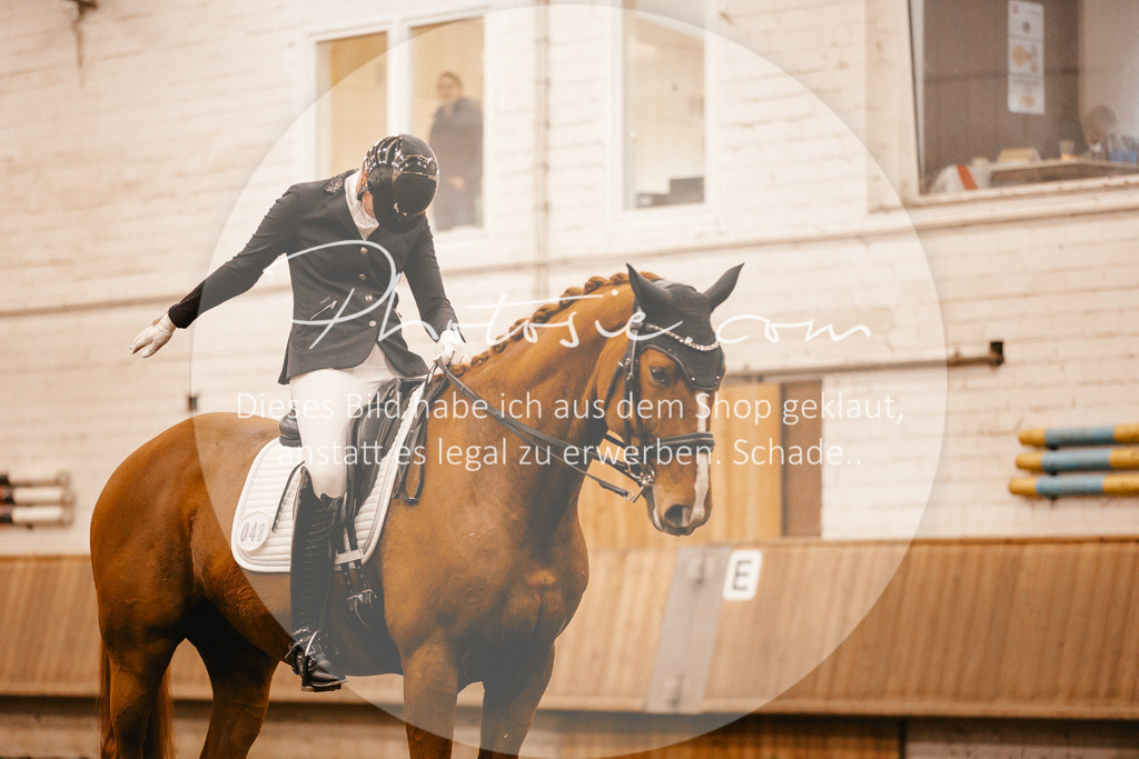 3I6A2645 | Stimmungsvolle Portraits und Reitsportfotografie im Ruhrgebiet und im Münsterland.

Pferdefotografie, Hundefotografie, Tierfotografie, Reportagen, Portraits von Tier und Mensch, Turnierfotografie in Bochum, Recklinghausen, Marl, Haltern am See, Dülmen.. - Realisiert mit Pictrs.com