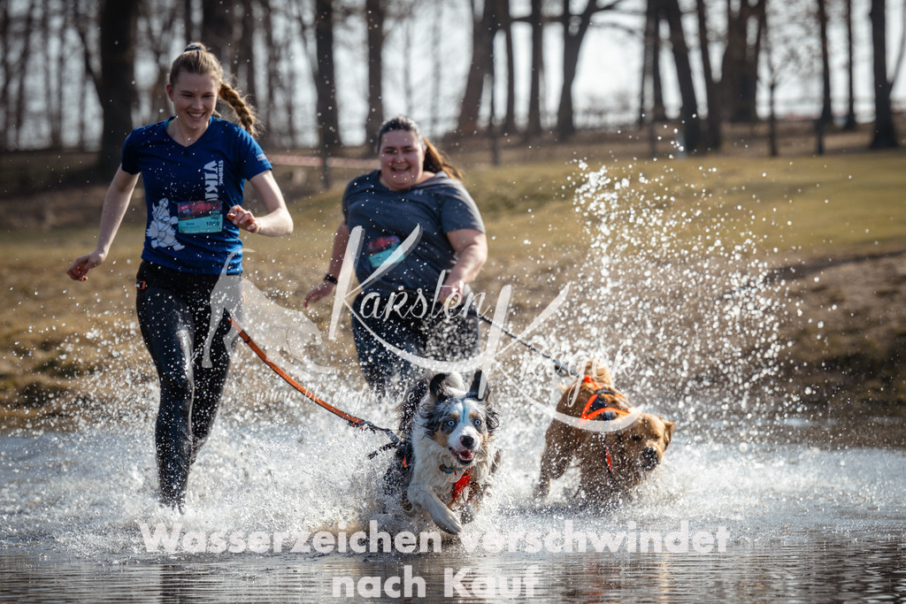 1132_ZZ95261 | kk-dogfotos