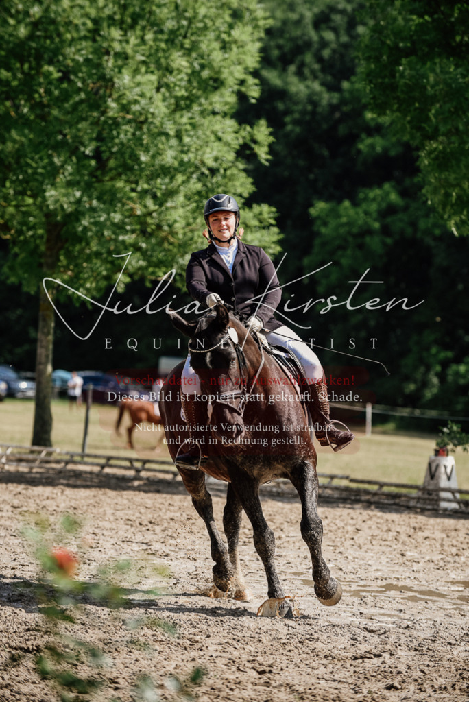DSC_0177 | Pferde- und Turnierfotografie in Westsachsen. Pferdeportraits, Auftragszeichnungen und intuitive Kunst.