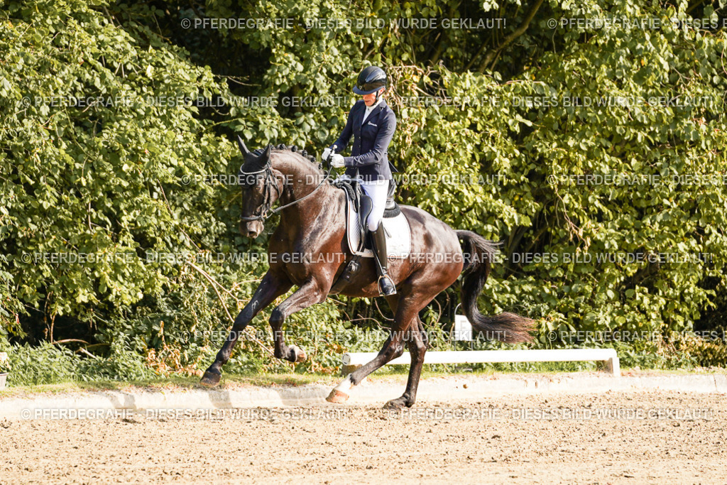 DSC04799 | Pferdegrafie