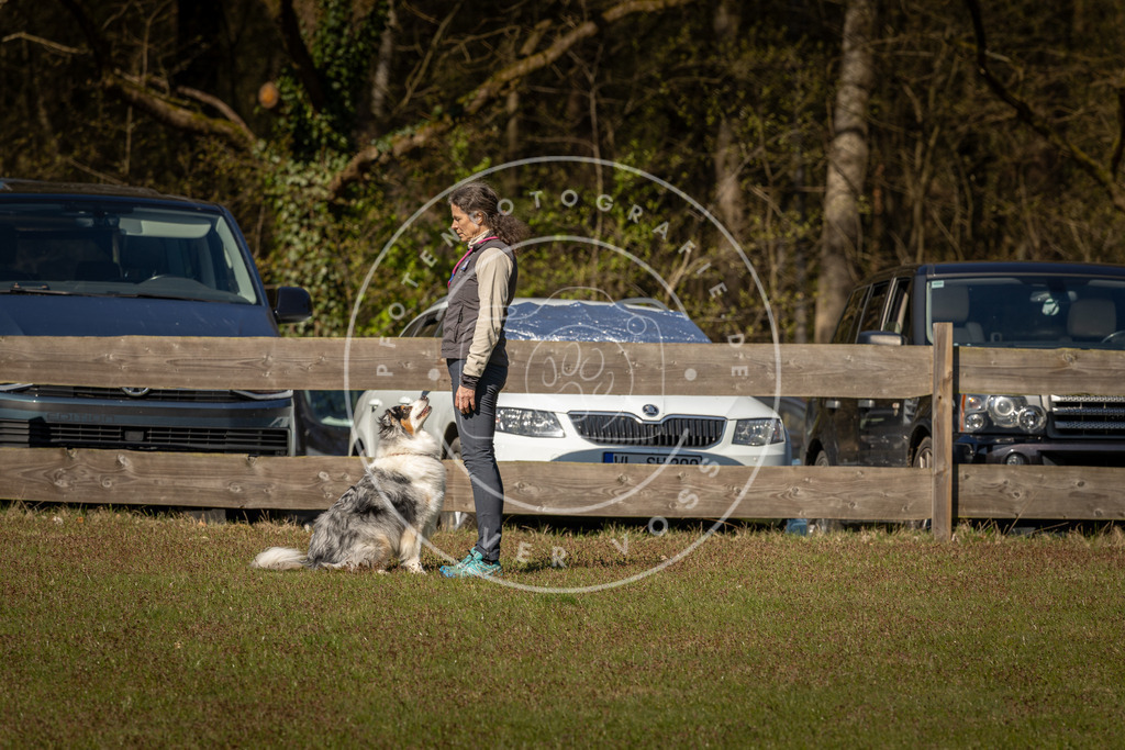 Pfotenfotografie_DV3A0526 | Hundefotografie, Tierfotograf, Pfotenfotografie, Fotoshooting Hund, Hunde Portrait, Hundesport, Hundeportraits, Heideshooting, Hunde, Sportfotograf, Hundefotograf, Turnierhundsport, THS,  - Realisiert mit Pictrs.com
