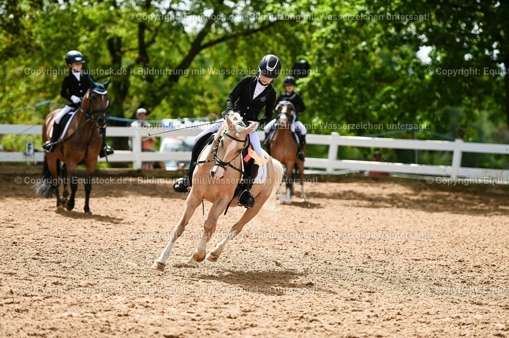 20230716_10-3_Reiter-WB Schritt - Trab - Galopp_0264 | equistock
