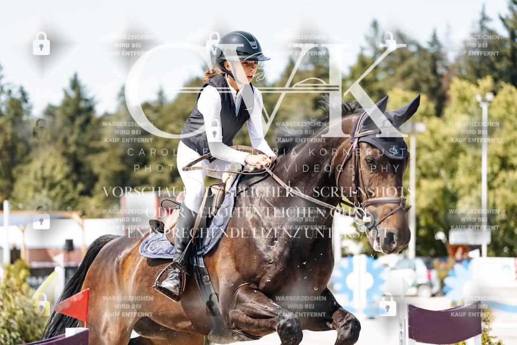 CK901173 | Turnierfotografie Pferdefotografie Trier Rheinland-Pfalz Pferdesport Reitsport Tierfotografie Sportfotografie Pferdevideo Pferdevideografie Equestrianvideography equestrianphotography  - Realisiert mit Pictrs.com