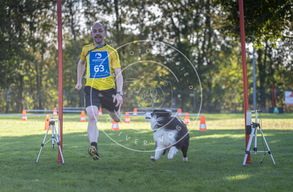 Pfotenfotografie.de_DV3A3195 | Hundefotografie, Tierfotograf, Pfotenfotografie, Fotoshooting Hund, Hunde Portrait, Hundesport, Hundeportraits, Heideshooting, Hunde, Sportfotograf, Hundefotograf, Turnierhundsport, THS, canicross - Realisiert mit Pictrs.com