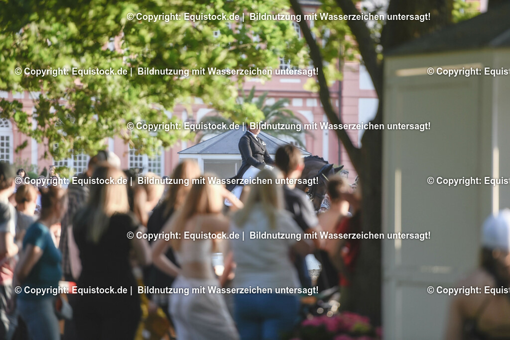 TP5_1728 | equistock