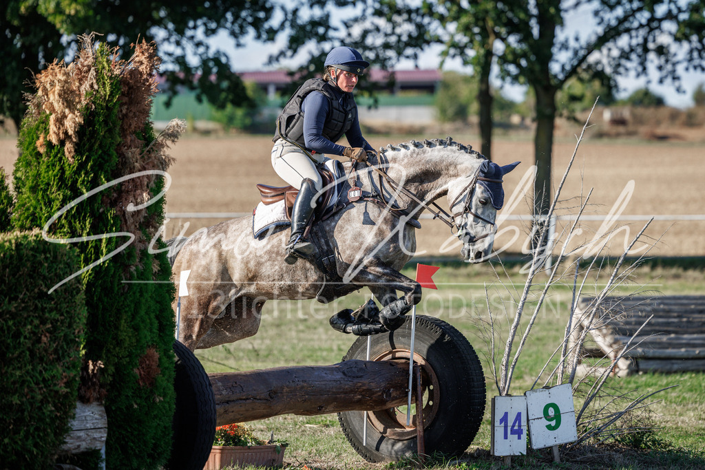 20260905-_3LI0698 | Tierfotografie Pferde, Hunde, Katzen, Haustiere.
Turnierfotografie Reitturniere, Reiten, Springreiten, Dressur in Hanau, dem Main-Kinzig-Kreis und dem Rhein-Main- Gebiet um Frankfurt