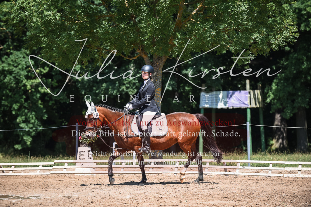 DSC_3062 | Pferde- und Turnierfotografie in Westsachsen. Pferdeportraits, Auftragszeichnungen und intuitive Kunst.