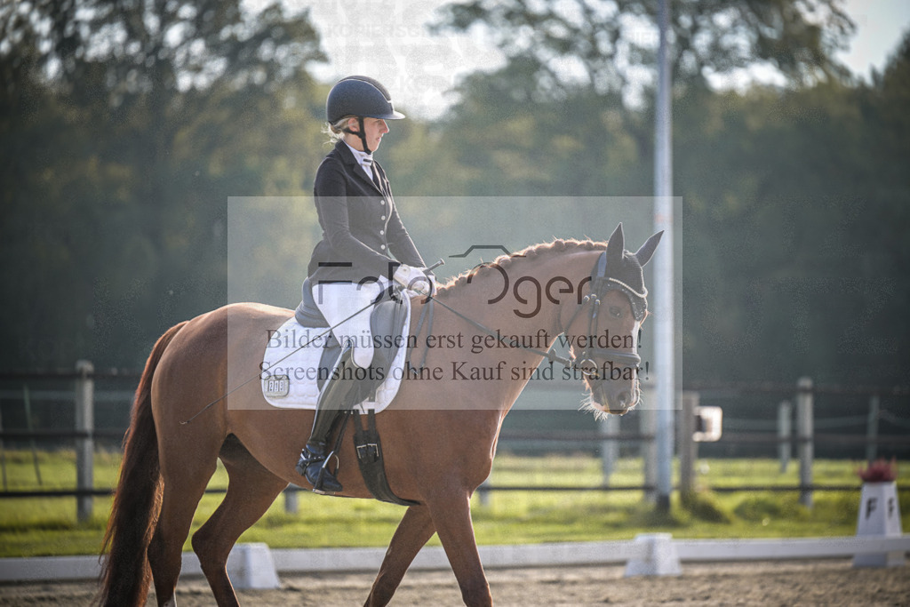 DOS_3502 | Entdecke hochwertige Reitturnierfotos von Foto Oger. Professionell, emotional und authentisch – jetzt Lieblingsmomente im Shop bestellen.Deutschlandweite Turnierfotografie. - Realisiert mit Pictrs.com