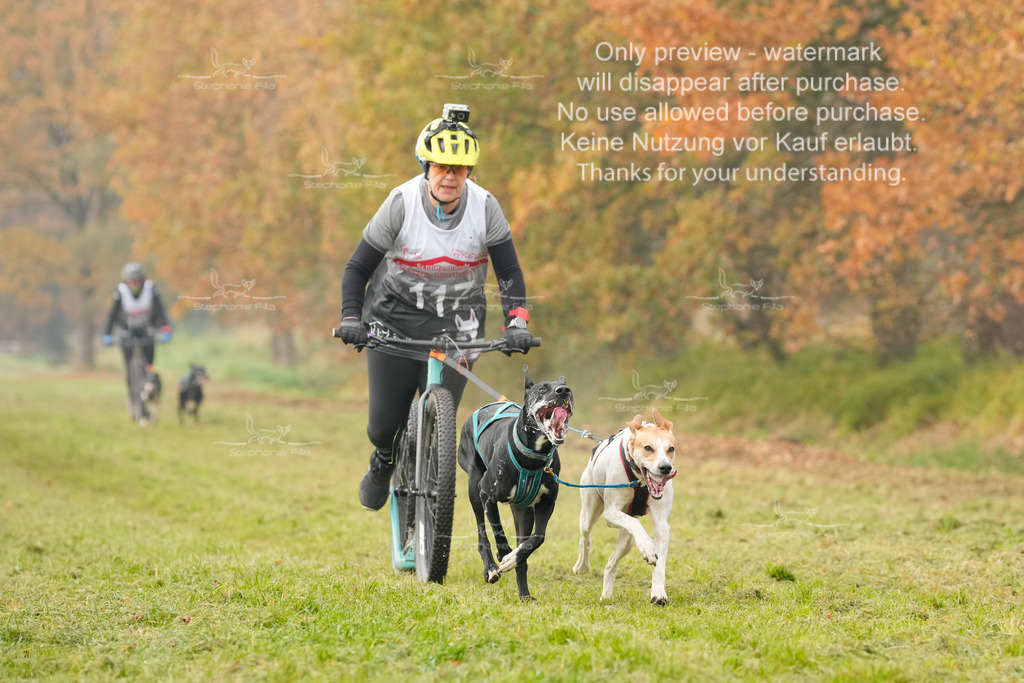 Visbeck_Sa_DS2DR2-111 | stephaniefillaphotographie - Realisiert mit Pictrs.com