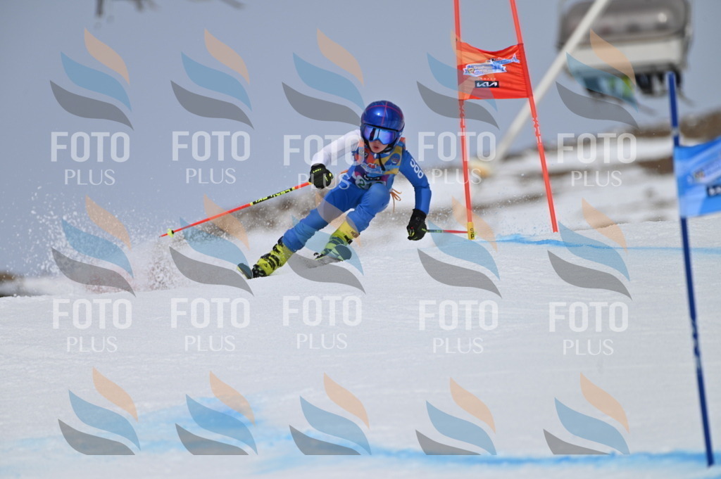 BGV_4266 | holidayphoto