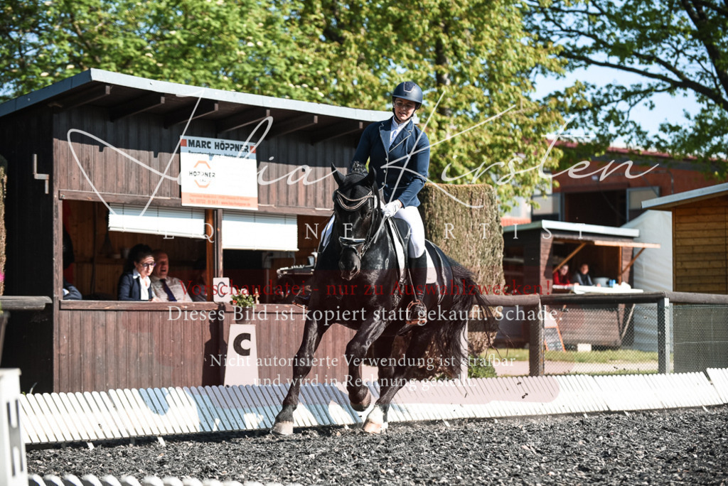 DSC_8482 | Pferde- und Turnierfotografie in Westsachsen. Pferdeportraits, Auftragszeichnungen und intuitive Kunst.