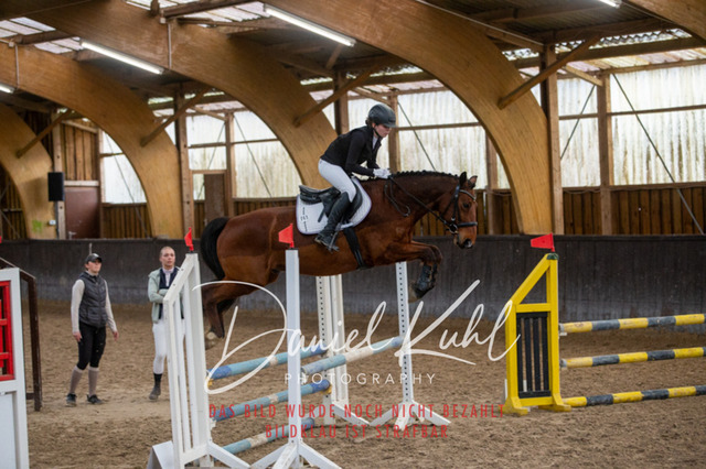 IMG_2047 | Turniersportfotografie; Pferdefotografie; Dressurfotografie