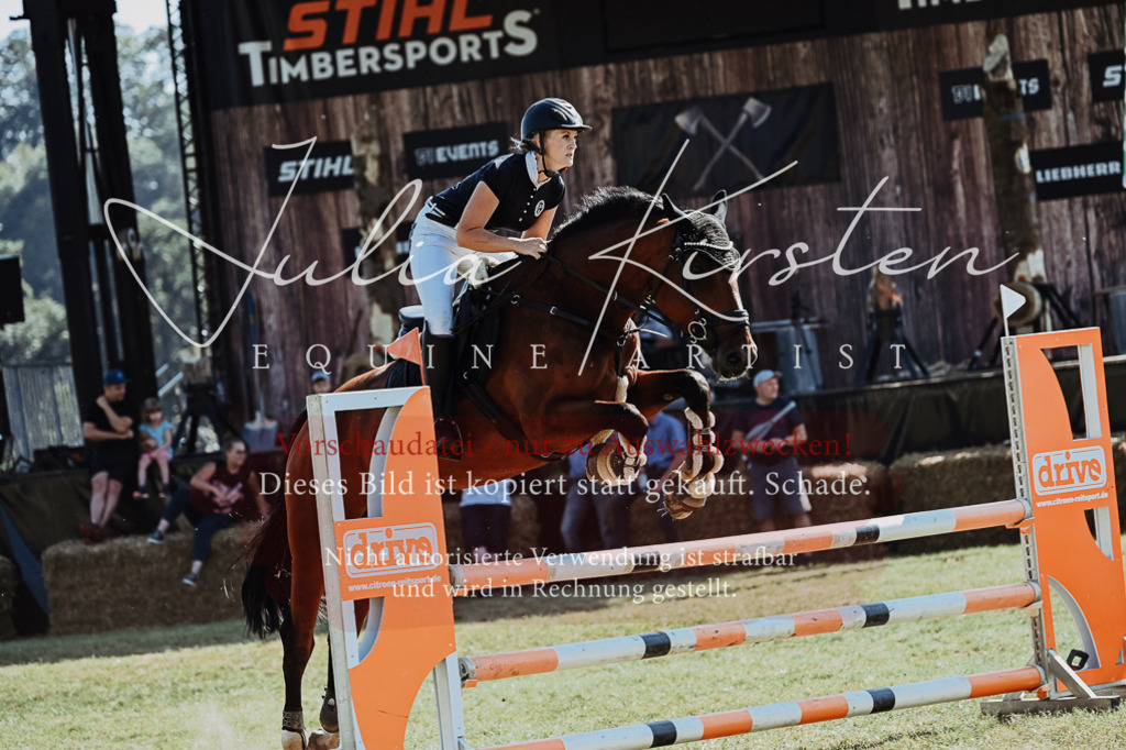 DSC_5816 | Pferde- und Turnierfotografie in Westsachsen. Pferdeportraits, Auftragszeichnungen und intuitive Kunst.