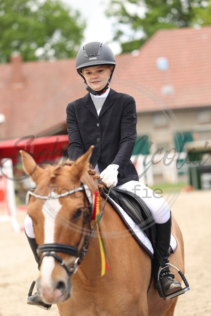 994A8565 | sabrinanicolaifotografie - Realisiert mit Pictrs.com