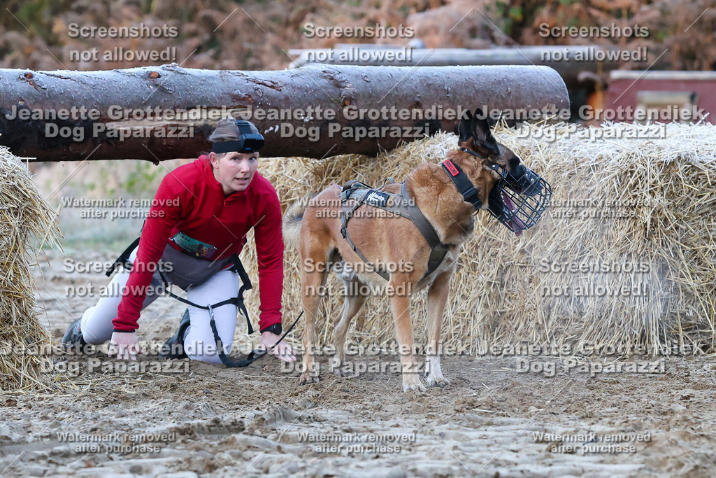 Dog Paparazzi - Strongdog 10-25-344 | Dog Paparazzi Jeanette Grottendiek Fotografie & Videografie - Realisiert mit Pictrs.com