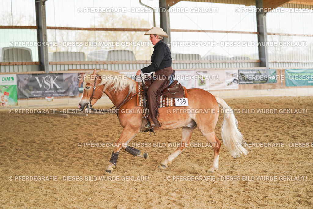 DSC01754 | Pferdegrafie