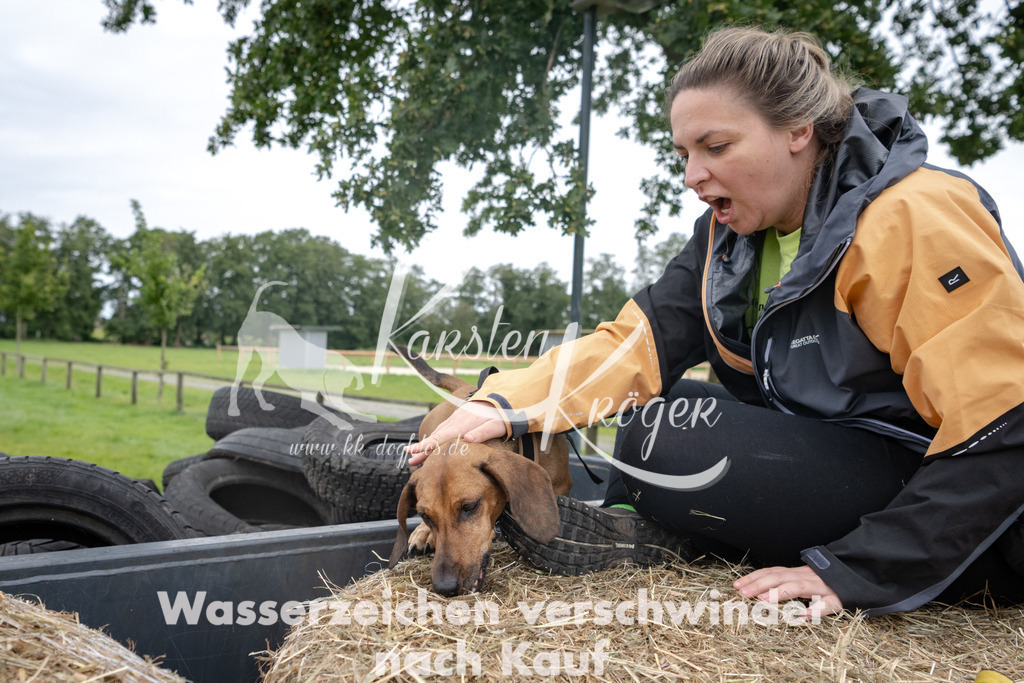 1211_ZZ94816 | kk-dogfotos