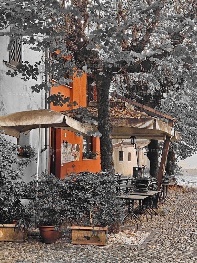 20241112_114034 | romberg-arts, romberg-arts.de, www.romberg-arts.de, Foto_Online_Shop, Julia Fuhrmann, Köln, Fotos, Fotografie, Fotokunst, Kunstdrucke, Naturfotos, Aktfotos, Nacktfotos, schwarz_weiß_Fotos, Blumenfotos, Blumen, Tiere, Beton, Korrosion, Lächeln, Drucke