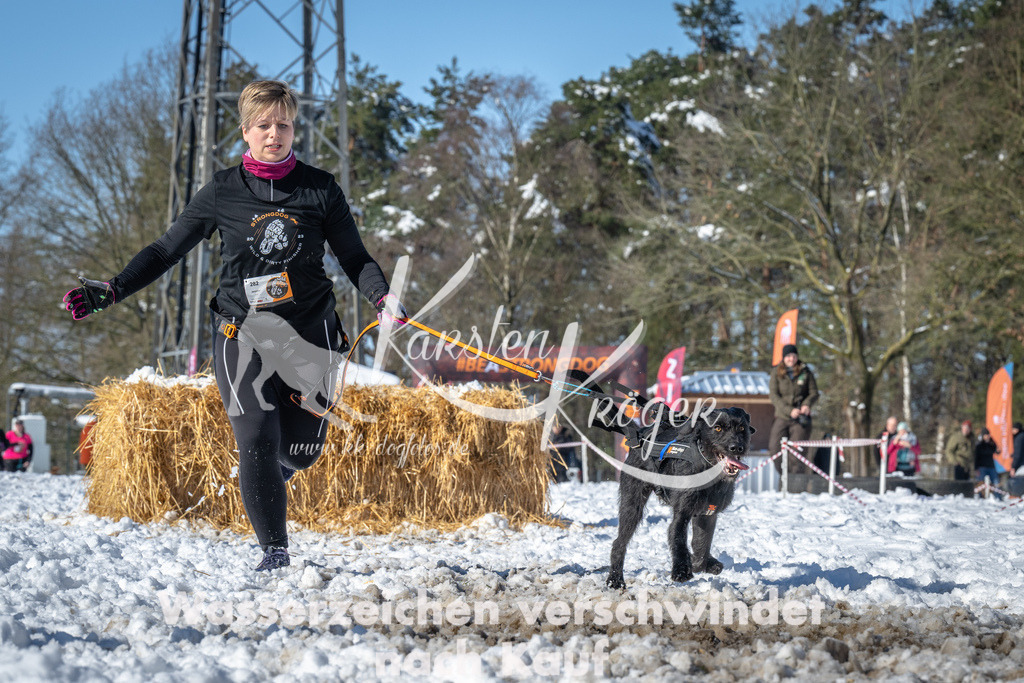 1131_ZZ92500-3 | kk-dogfotos