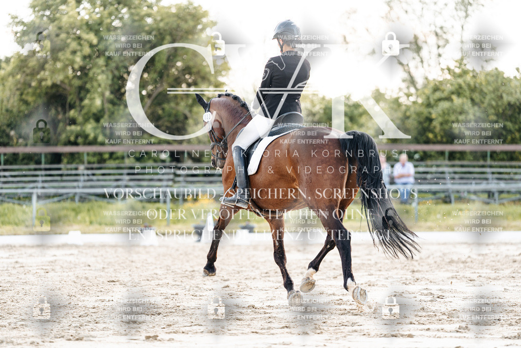 CK909799 | Turnierfotografie Pferdefotografie Trier Rheinland-Pfalz Pferdesport Reitsport Tierfotografie Sportfotografie Pferdevideo Pferdevideografie Equestrianvideography equestrianphotography  - Realisiert mit Pictrs.com